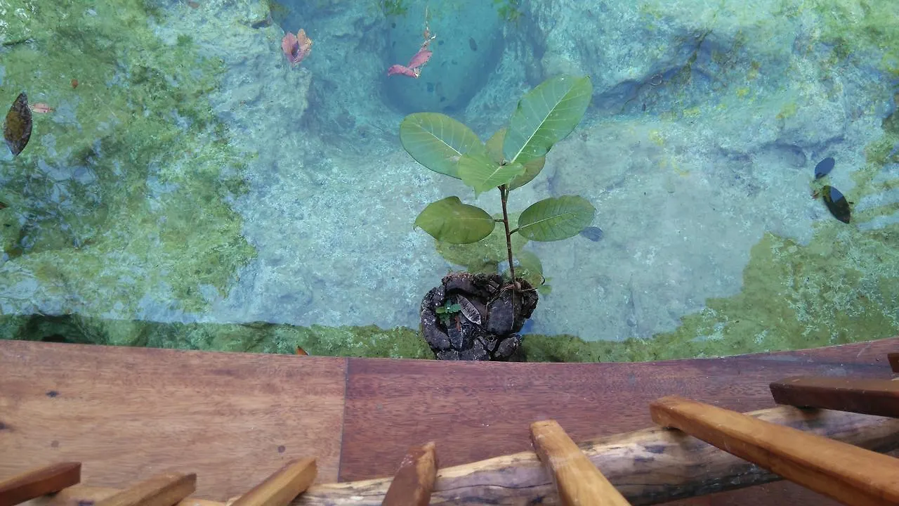 Chaktunche Rancho Ecolodge Puerto Morelos Bed & Breakfast