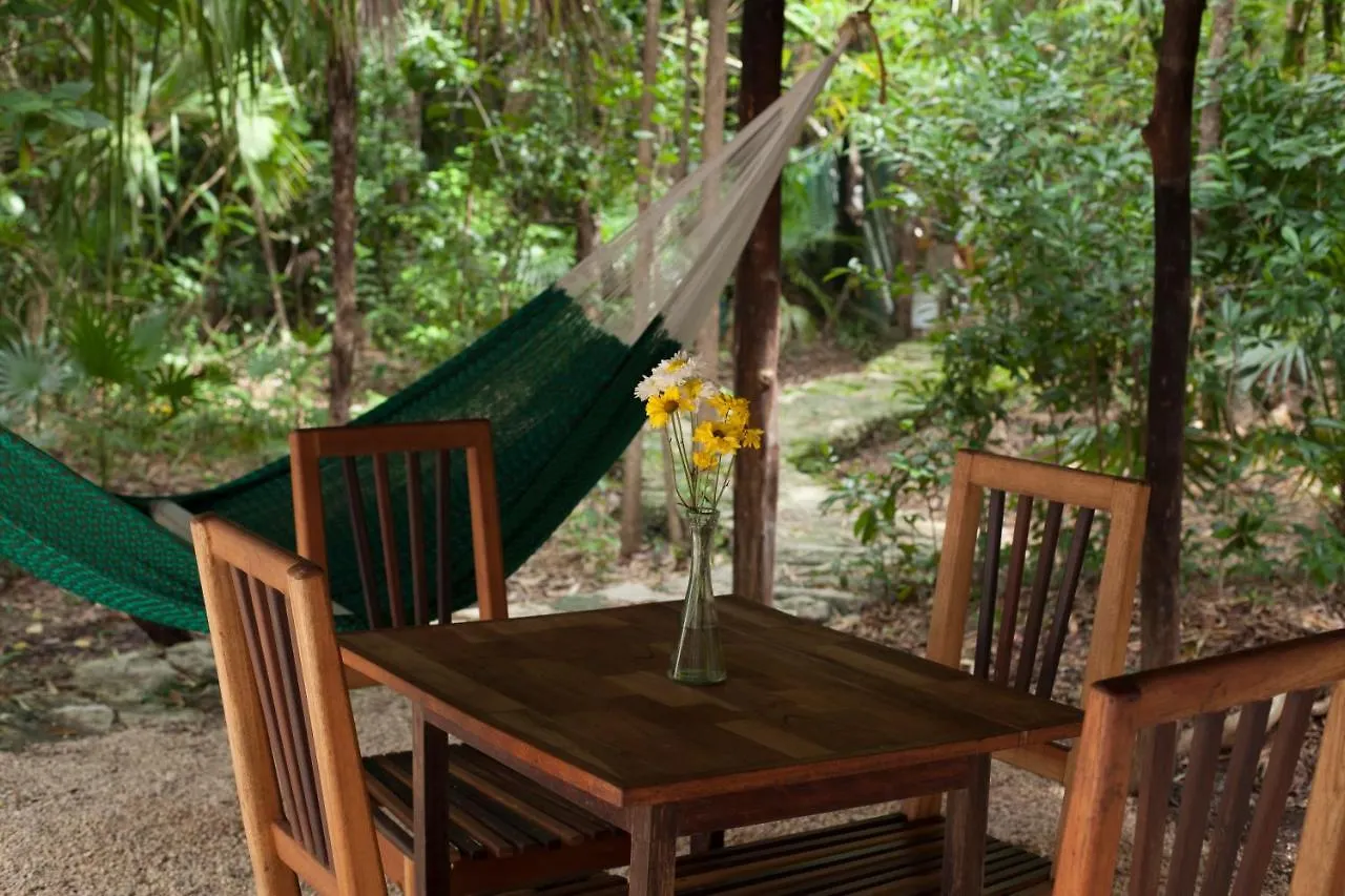 *** Bed & Breakfast Chaktunche Rancho Ecolodge Puerto Morelos Mexico