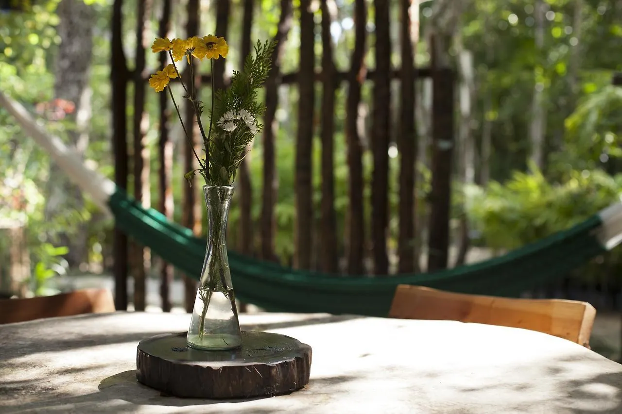 Bed & Breakfast Chaktunche Rancho Ecolodge Puerto Morelos