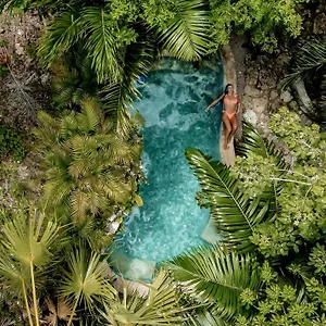 Anand Ecoaldea Puerto Morelos