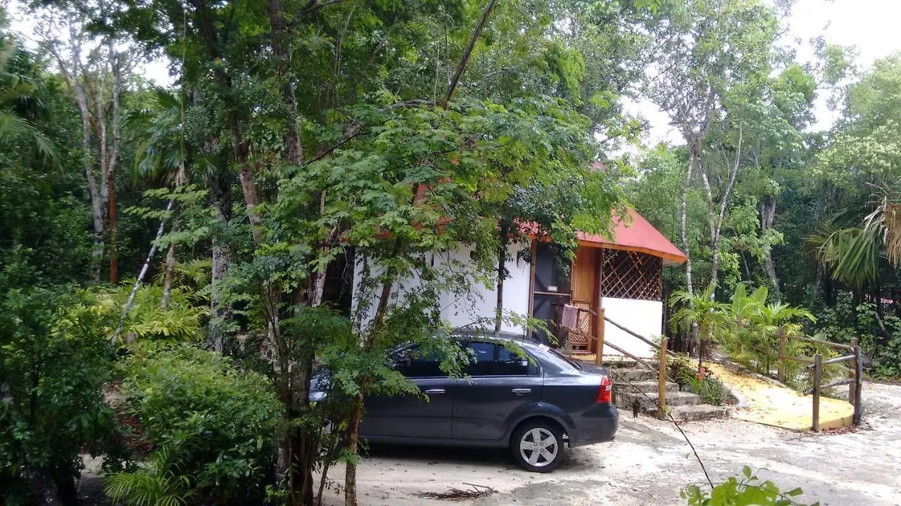 بويرتو موريلوس Chaktunche Rancho Ecolodge المكسيك